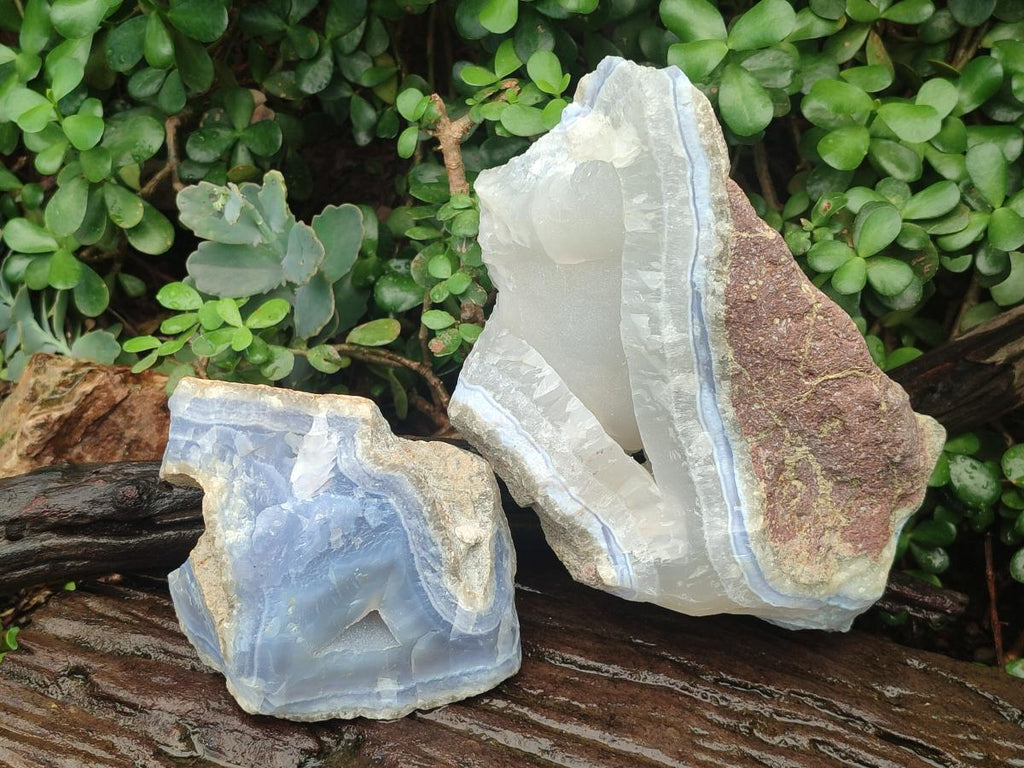 Natural Large Blue Lace Agate Geode and Vug Specimens x 2 From Nsanje, Malawi