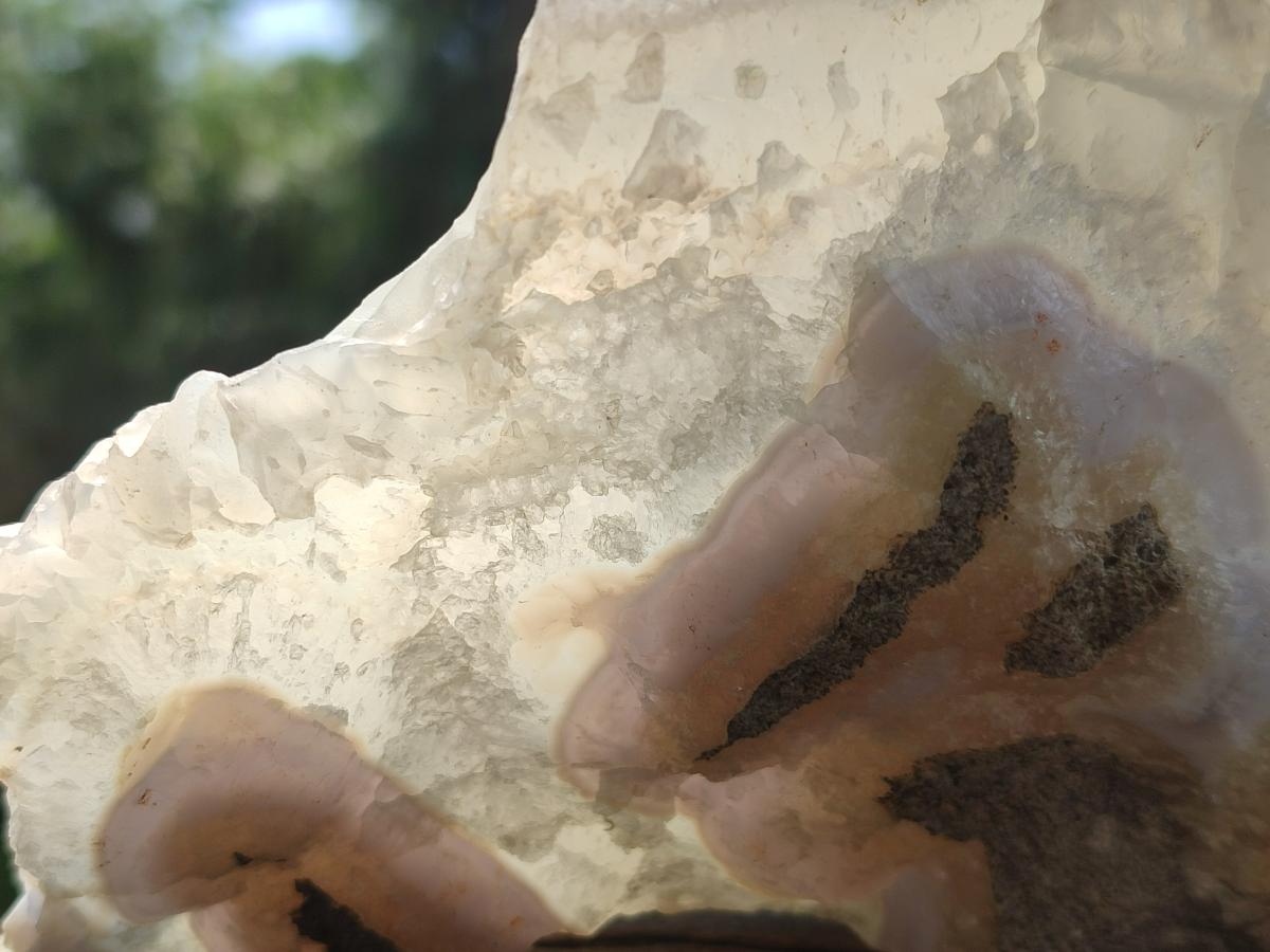Natural Large Blue Lace Agate Geode and Vug Specimens x 2 From Nsanje, Malawi