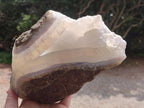 Natural Large Blue Lace Agate Geode and Vug Specimens x 2 From Nsanje, Malawi