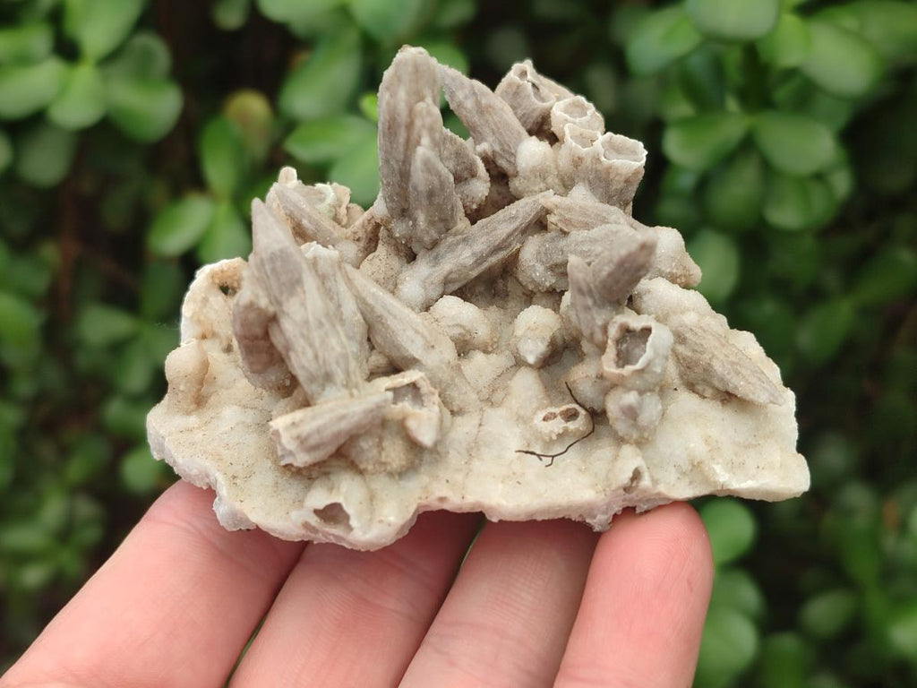 Natural Spearhead Calcite Specimens with Rhomboherdral Crystals x 4 From Albert's Mountain, Lesotho
