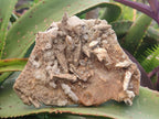Natural Spearhead Calcite Specimens with Rhomboherdral Crystals x 4 From Albert's Mountain, Lesotho