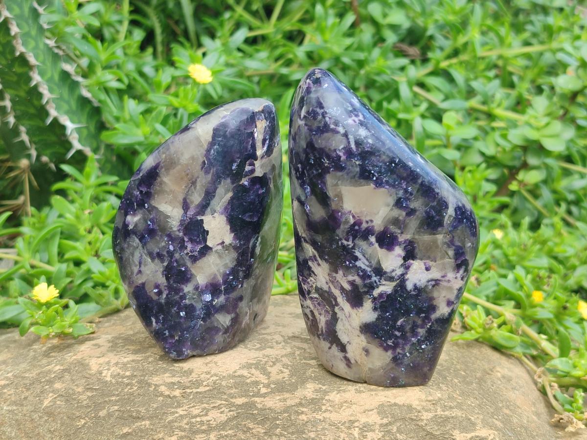 Polished Silver Leaf Lepidolite Standing Display Pieces x 6 From Zimbabwe