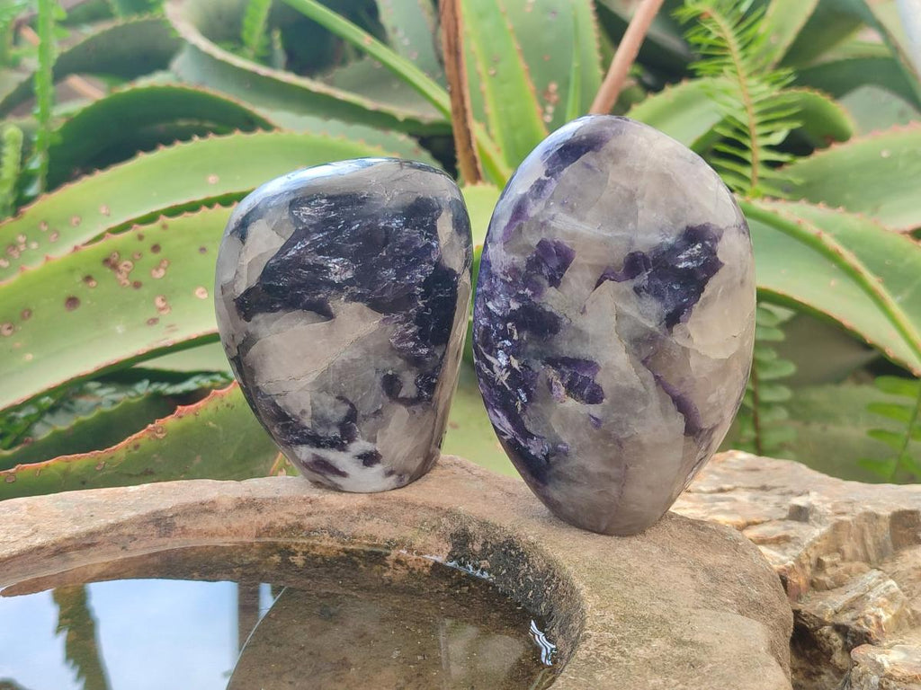 Polished Silver Leaf Lepidolite Standing Display Pieces x 6 From Zimbabwe
