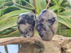 Polished Silver Leaf Lepidolite Standing Display Pieces x 6 From Zimbabwe