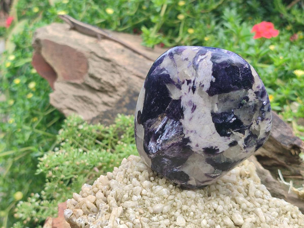 Polished Silver Leaf Lepidolite Standing Display Pieces x 6 From Zimbabwe