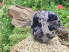 Polished Silver Leaf Lepidolite Standing Display Pieces x 6 From Zimbabwe