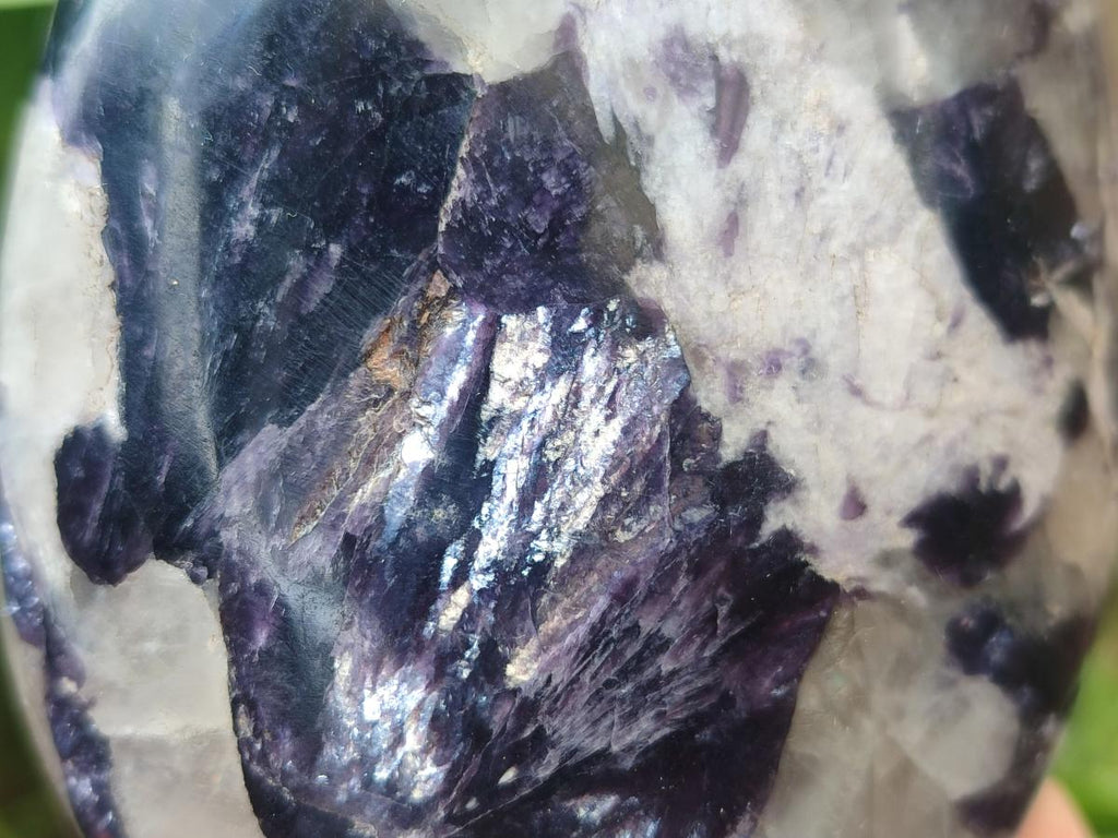 Polished Silver Leaf Lepidolite Standing Display Pieces x 6 From Zimbabwe