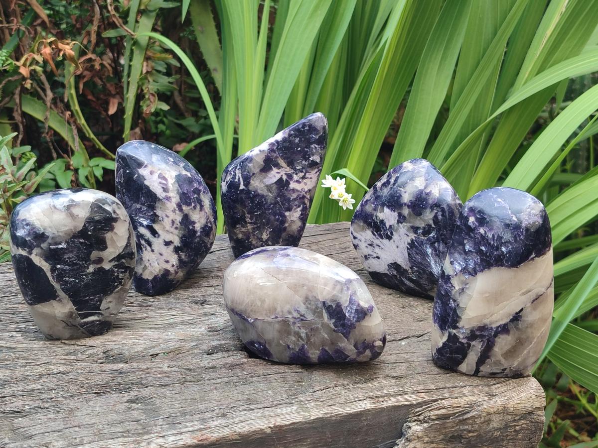 Polished Silver Leaf Lepidolite Standing Display Pieces x 6 From Zimbabwe