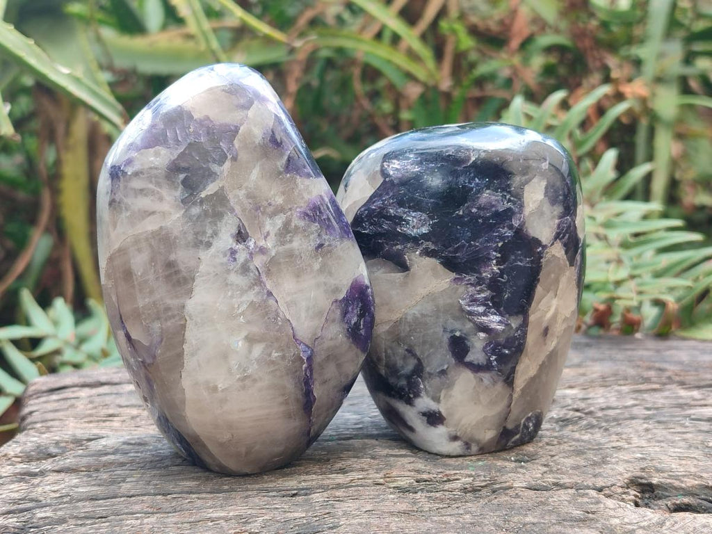 Polished Silver Leaf Lepidolite Standing Display Pieces x 6 From Zimbabwe
