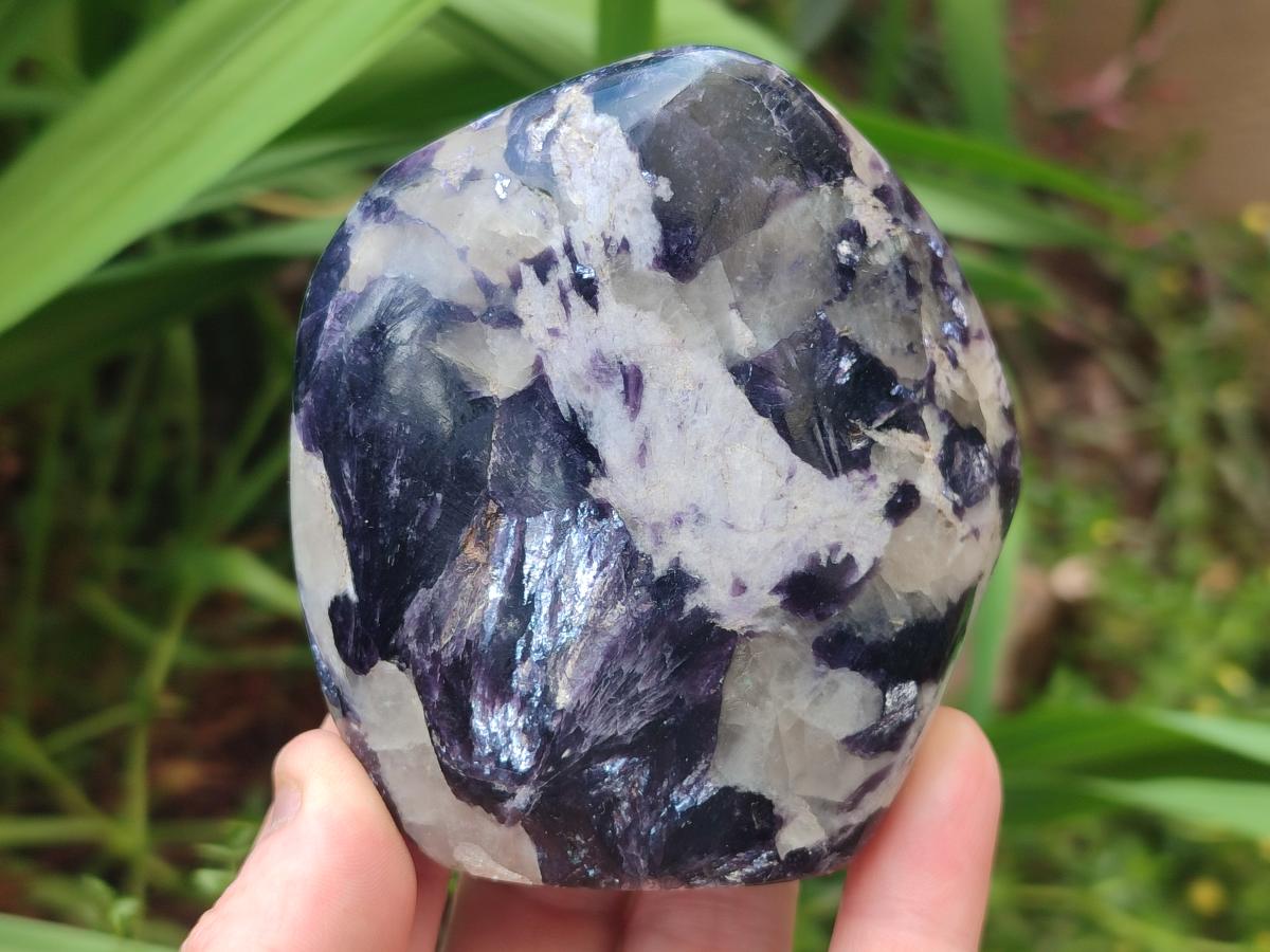 Polished Silver Leaf Lepidolite Standing Display Pieces x 6 From Zimbabwe