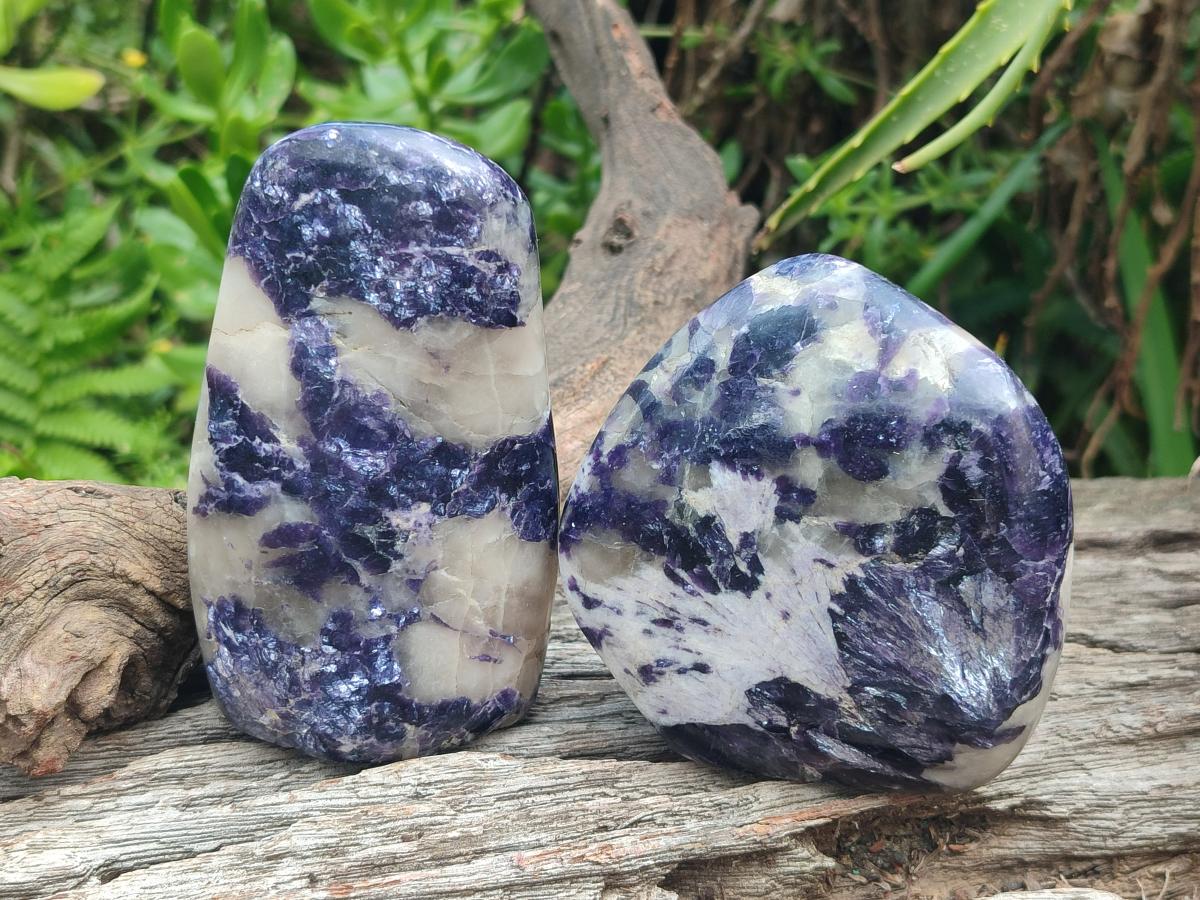 Polished Silver Leaf Lepidolite Standing Display Pieces x 6 From Zimbabwe