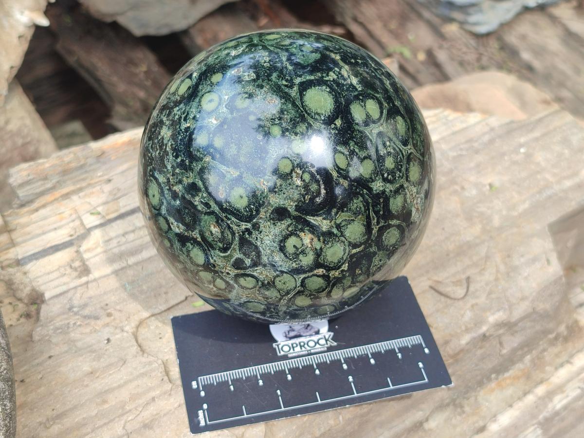 Polished Stromatolite "Kambamba Jasper" Spheres x 2 From Katsepy, Madagascar