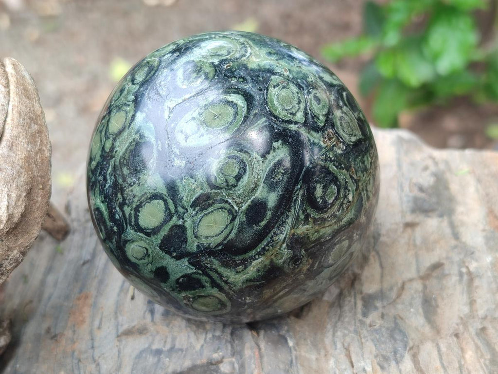 Polished Stromatolite "Kambamba Jasper" Spheres x 2 From Katsepy, Madagascar