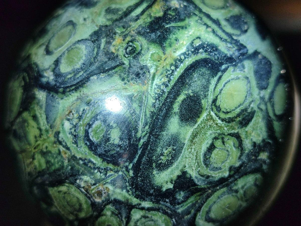 Polished Stromatolite "Kambamba Jasper" Spheres x 2 From Katsepy, Madagascar