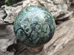 Polished Stromatolite "Kambamba Jasper" Spheres x 2 From Katsepy, Madagascar