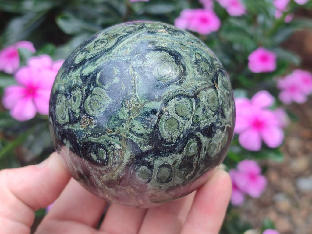 Polished Stromatolite "Kambamba Jasper" Spheres x 2 From Katsepy, Madagascar