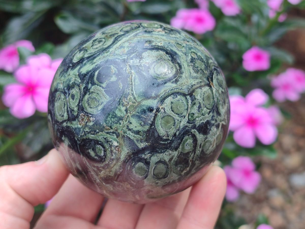 Polished Stromatolite "Kambamba Jasper" Spheres x 2 From Katsepy, Madagascar