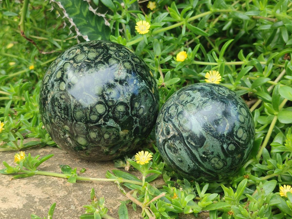 Polished Stromatolite "Kambamba Jasper" Spheres x 2 From Katsepy, Madagascar