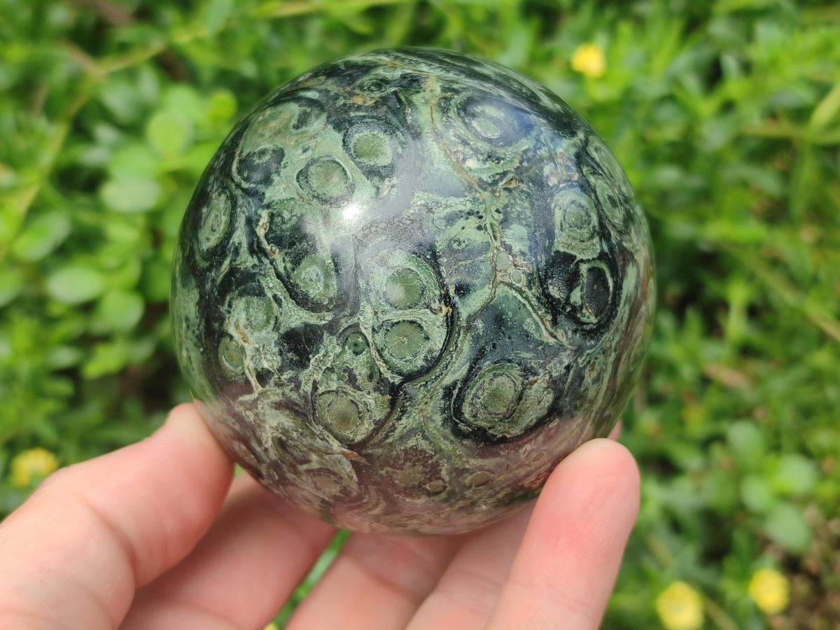 Polished Stromatolite "Kambamba Jasper" Spheres x 2 From Katsepy, Madagascar