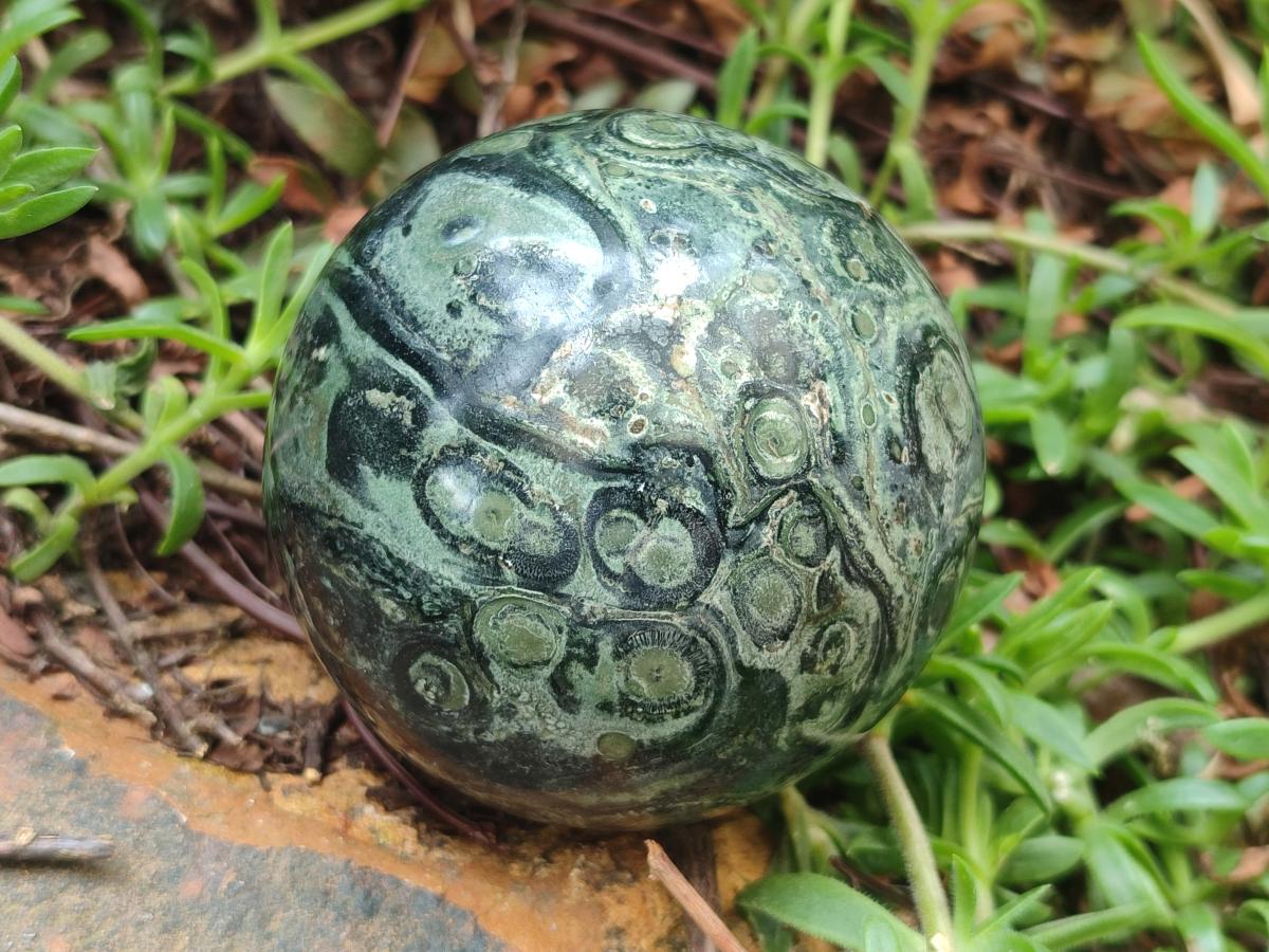 Polished Stromatolite "Kambamba Jasper" Spheres x 2 From Katsepy, Madagascar