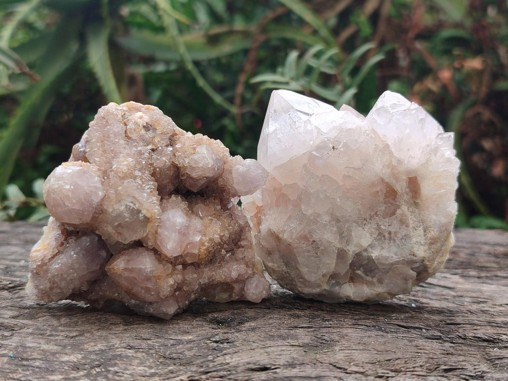Natural Mix of Spirit Quartz Clusters x 13 From Boekenhouthoek, South Africa