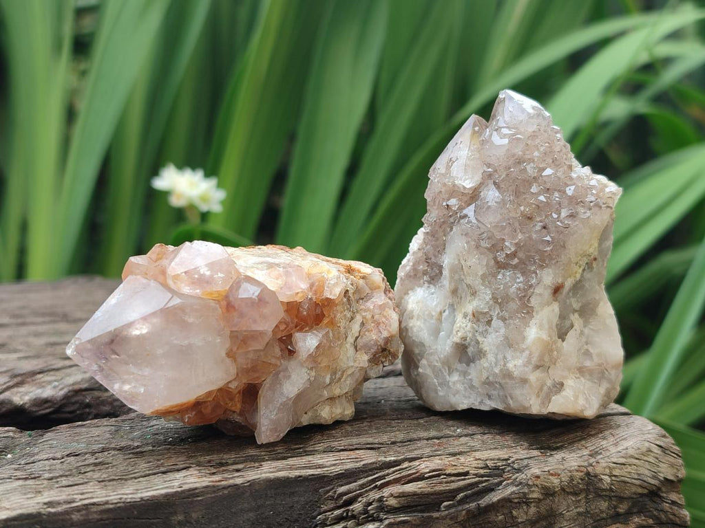 Natural Mix of Spirit Quartz Clusters x 13 From Boekenhouthoek, South Africa