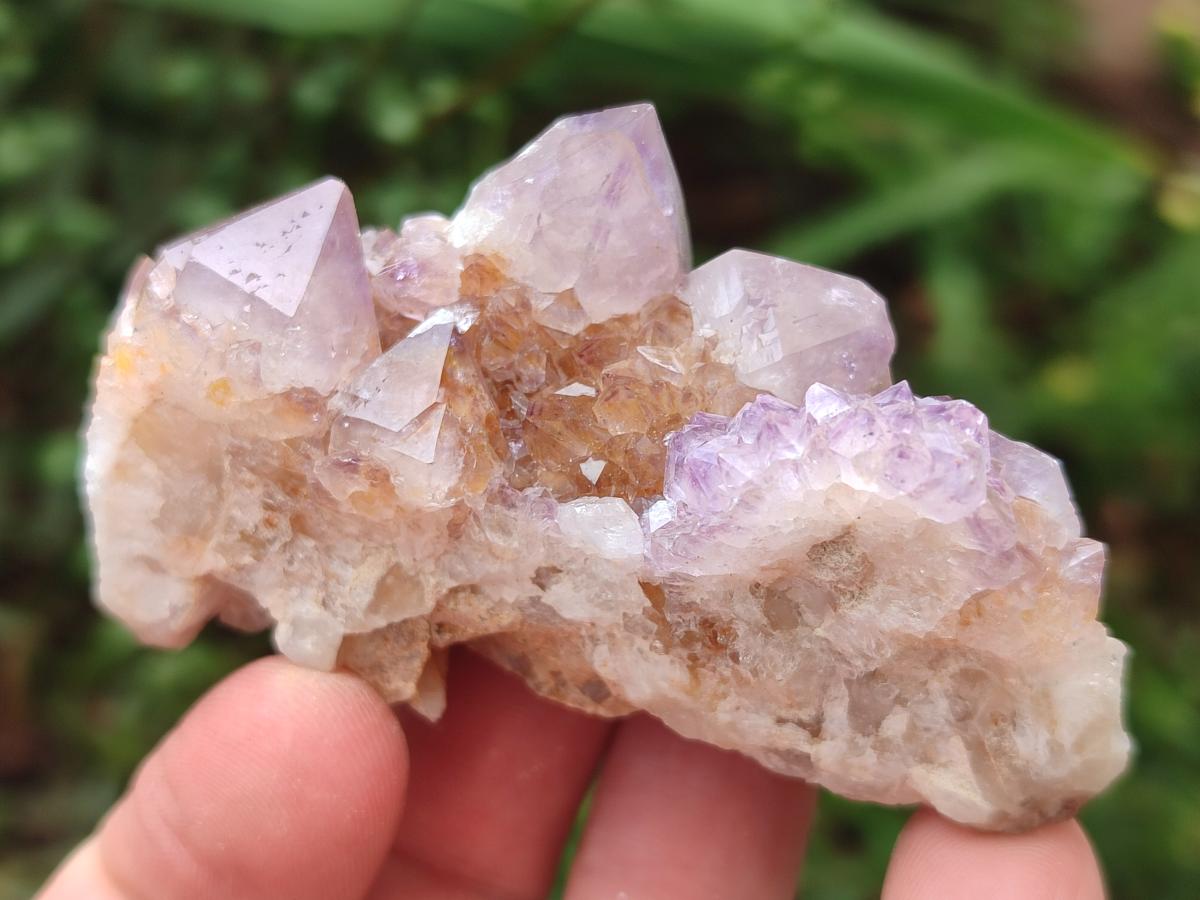 Natural Mix of Spirit Quartz Clusters x 13 From Boekenhouthoek, South Africa