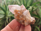 Natural Mix of Spirit Quartz Clusters x 13 From Boekenhouthoek, South Africa