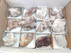 Natural Mix of Spirit Quartz Clusters x 13 From Boekenhouthoek, South Africa