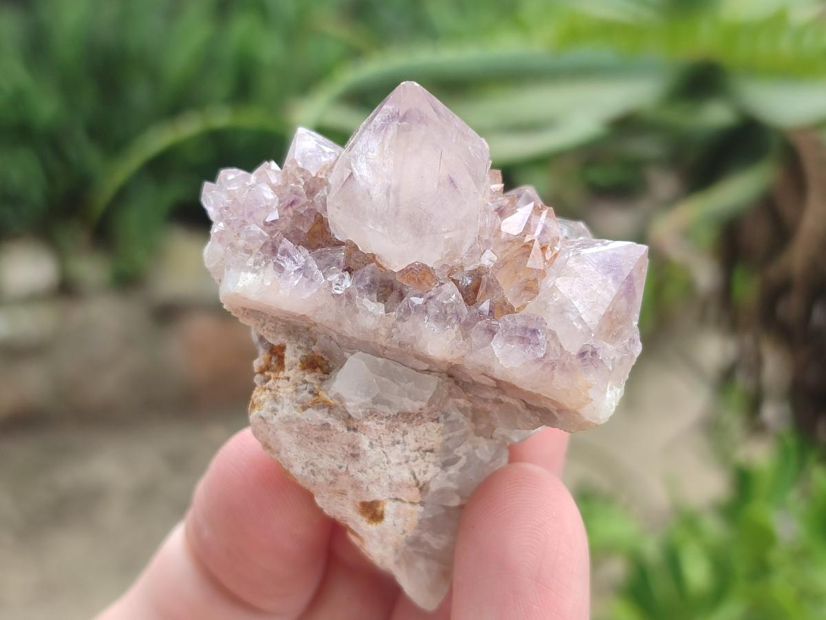 Natural Mix of Spirit Quartz Clusters x 13 From Boekenhouthoek, South Africa