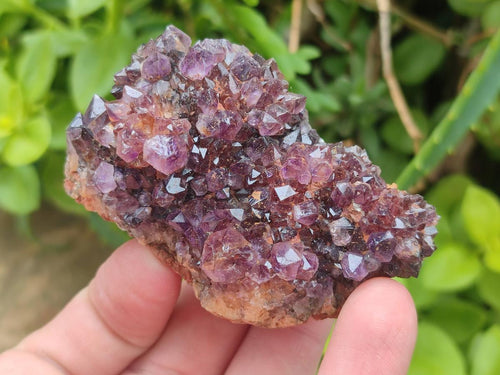 Natural Mix of Spirit Quartz Clusters x 13 From Boekenhouthoek, South Africa