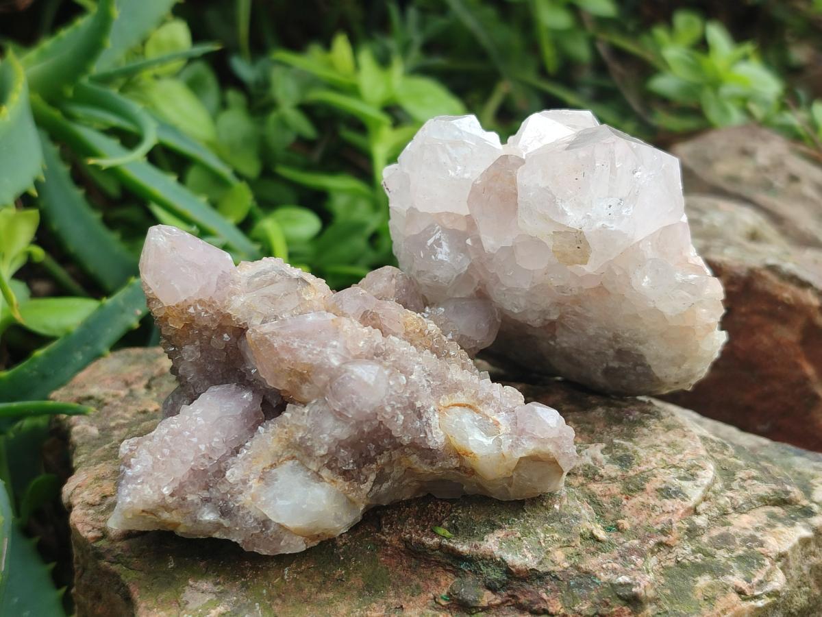 Natural Mix of Spirit Quartz Clusters x 13 From Boekenhouthoek, South Africa