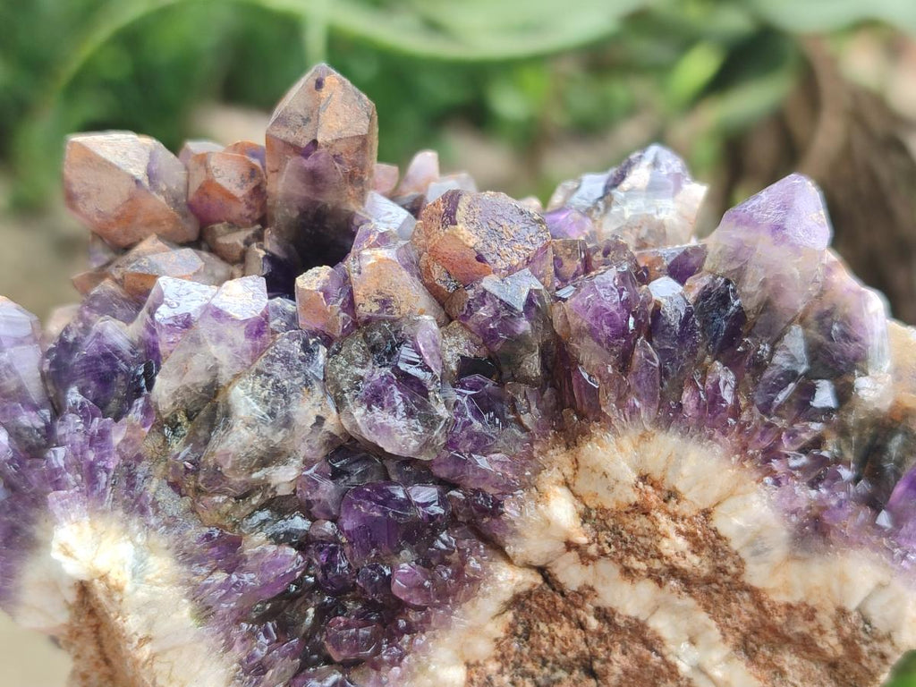 Natural Dark Chevron Amethyst Clusters x 12 From Mapatizya, Zambia