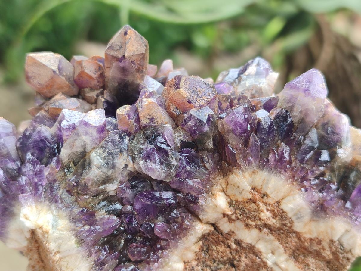 Natural Dark Chevron Amethyst Clusters x 12 From Mapatizya, Zambia