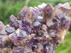 Natural Dark Chevron Amethyst Clusters x 12 From Mapatizya, Zambia
