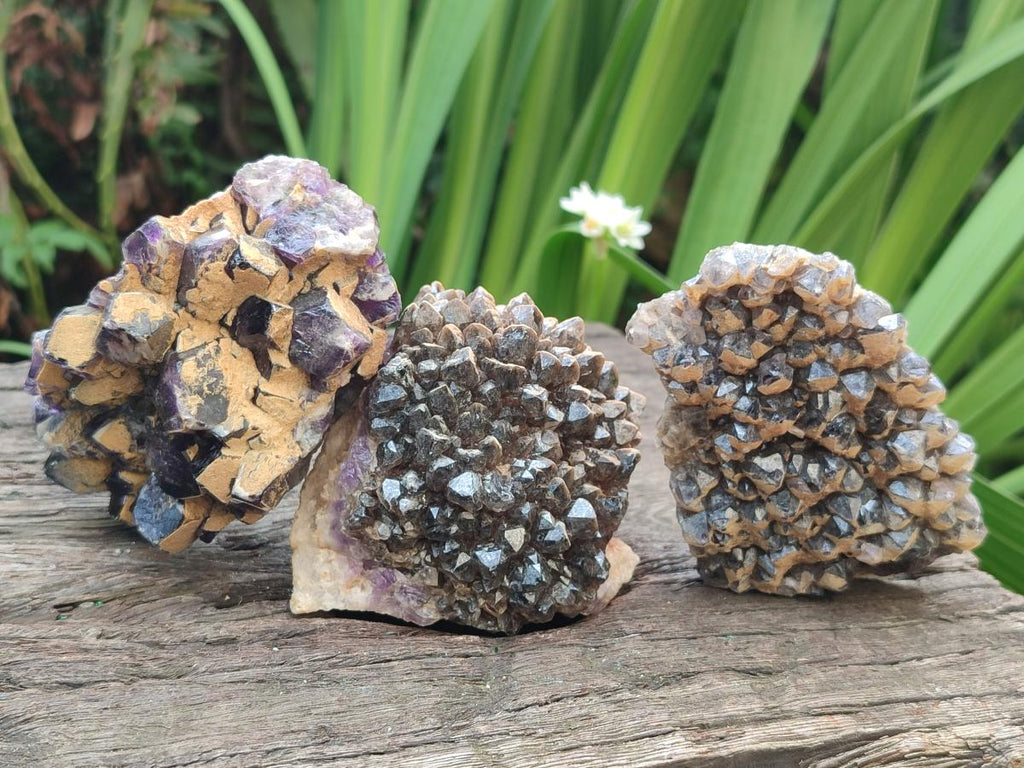 Natural Dark Chevron Amethyst Clusters x 12 From Mapatizya, Zambia