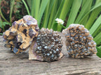 Natural Dark Chevron Amethyst Clusters x 12 From Mapatizya, Zambia