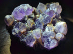 Natural Dark Chevron Amethyst Clusters x 12 From Mapatizya, Zambia