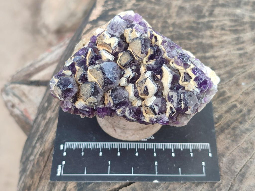 Natural Dark Chevron Amethyst Clusters x 12 From Mapatizya, Zambia