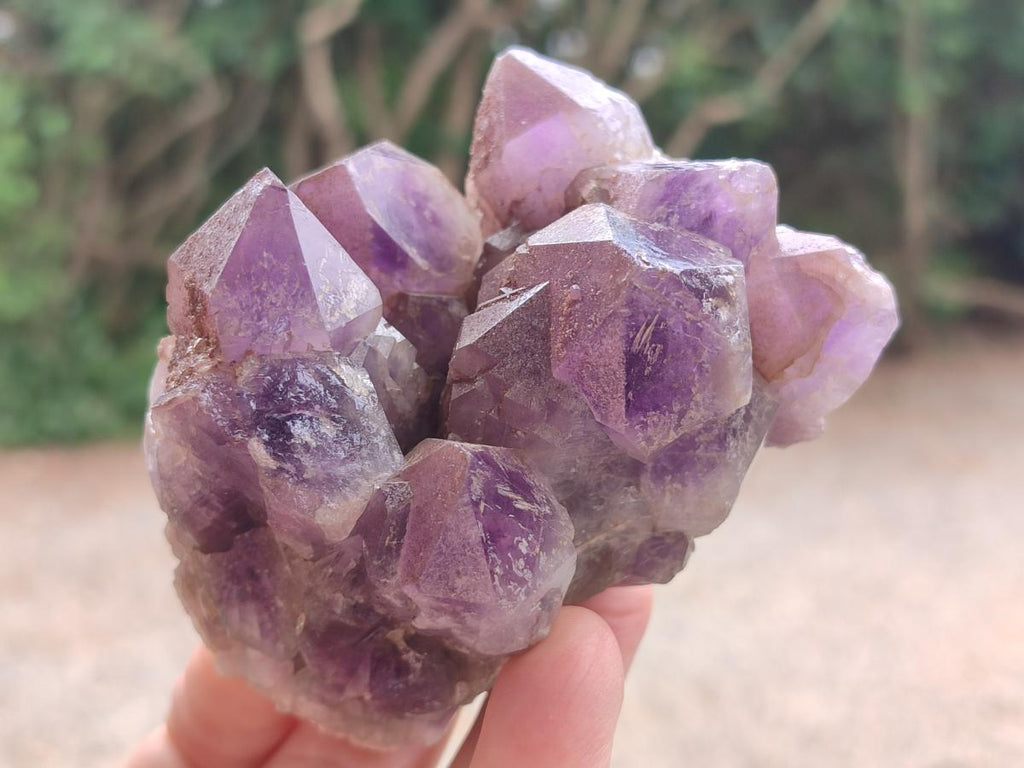 Natural Dark Chevron Amethyst Clusters x 12 From Mapatizya, Zambia