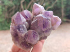 Natural Dark Chevron Amethyst Clusters x 12 From Mapatizya, Zambia