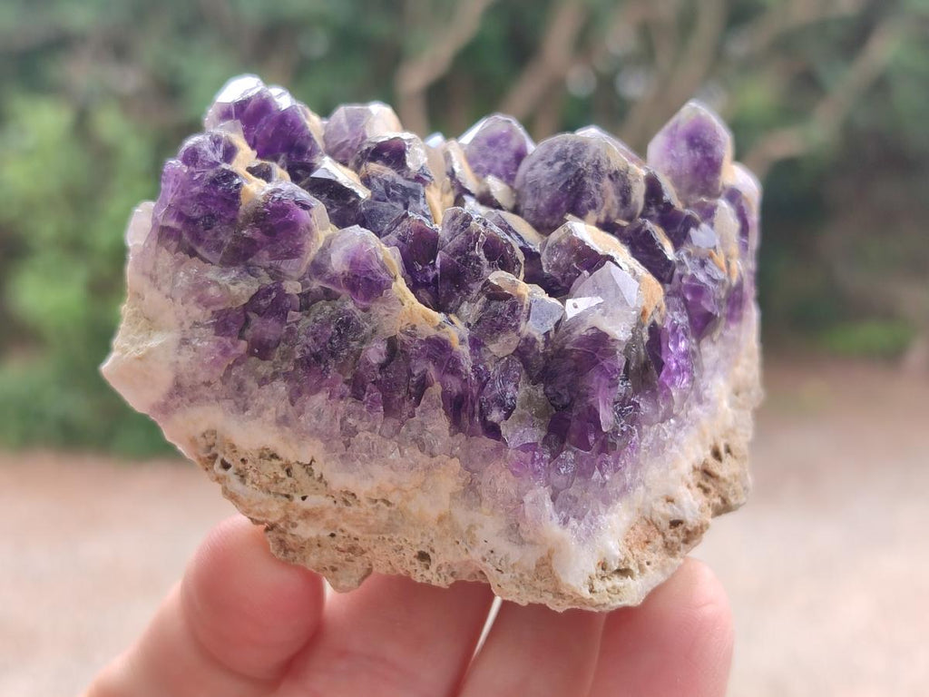 Natural Dark Chevron Amethyst Clusters x 12 From Mapatizya, Zambia