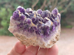 Natural Dark Chevron Amethyst Clusters x 12 From Mapatizya, Zambia