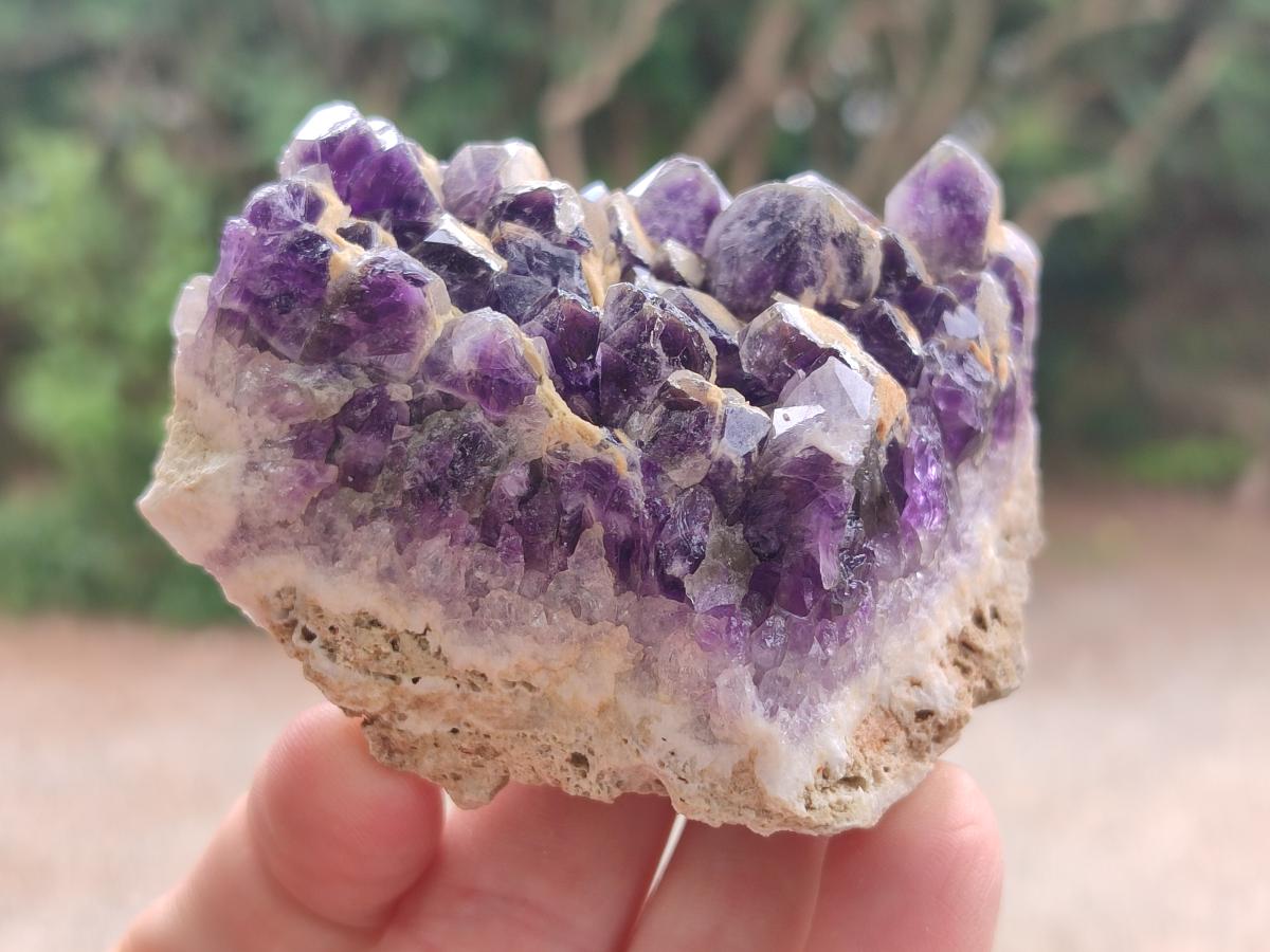Natural Dark Chevron Amethyst Clusters x 12 From Mapatizya, Zambia