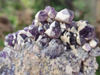 Natural Dark Chevron Amethyst Clusters x 12 From Mapatizya, Zambia