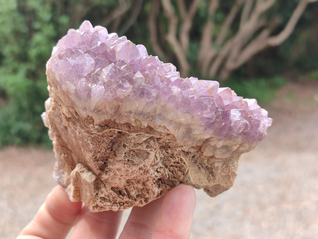 Natural Dark Chevron Amethyst Clusters x 12 From Mapatizya, Zambia