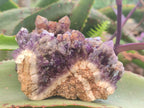 Natural Dark Chevron Amethyst Clusters x 12 From Mapatizya, Zambia