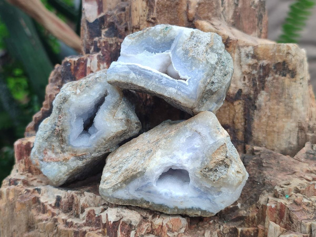 Natural Blue Lace Agate Geode Specimens x 24 From Nsanje, Malawi