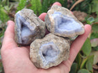 Natural Blue Lace Agate Geode Specimens x 24 From Nsanje, Malawi