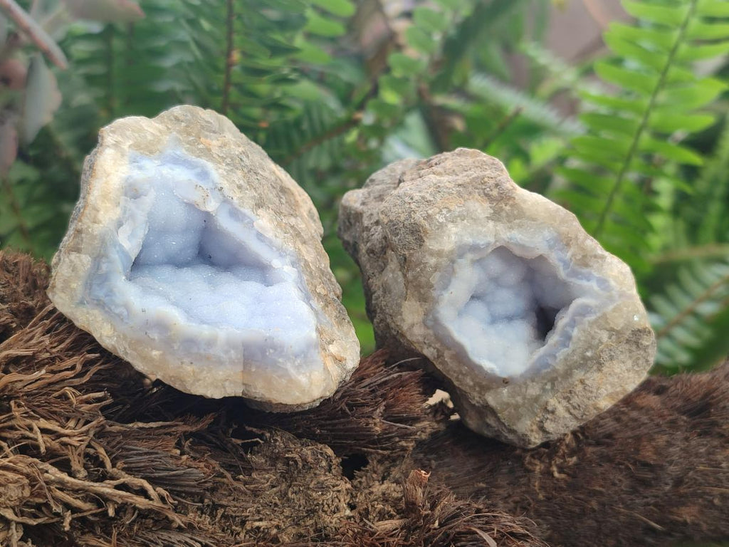 Natural Blue Lace Agate Geode Specimens x 24 From Nsanje, Malawi